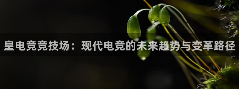 易游电竞
