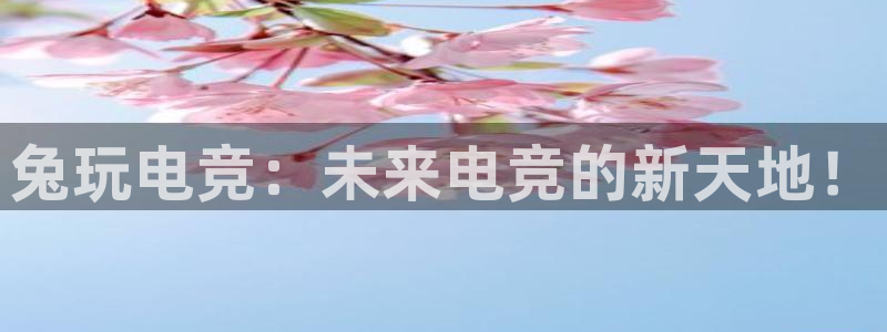 易游电竞官网