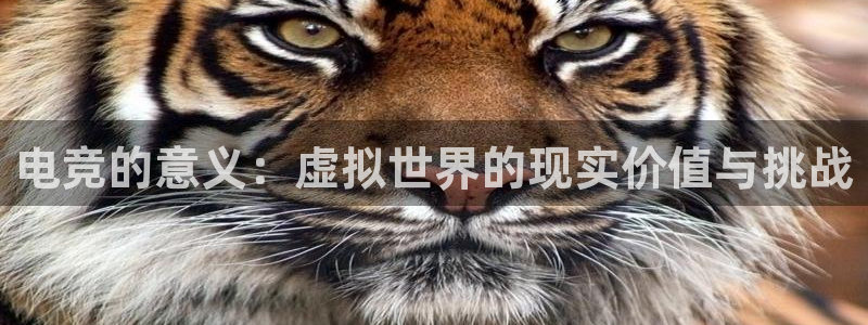易游电竞官网