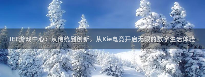 易游电竞：IEE游戏中心：从传统到创新，从Kie电竞开启无限的数字生活体验