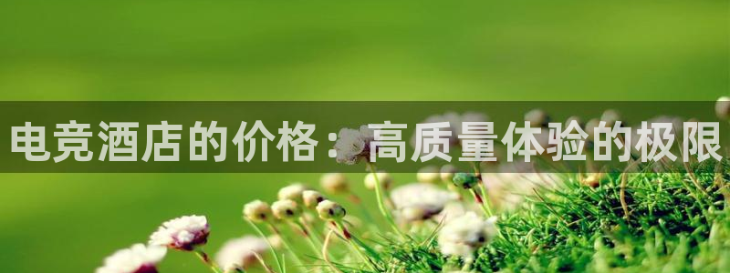 易游电竞官网：电竞酒店的价格：高质量体验的极限