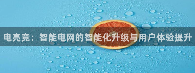 易游电竞官网：电亮竞：智能电网的智能化升级与用户体验提升