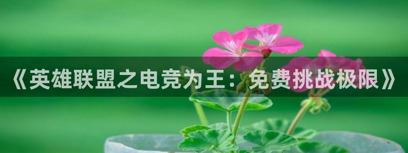 易游电竞：《英雄联盟之电竞为王：免费挑战极限》