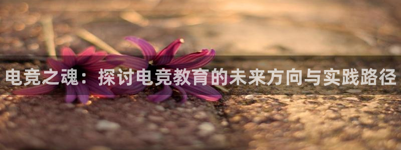 易游电竞：电竞之魂：探讨电竞教育的未来方向与实践路径