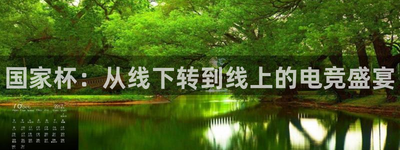 易游电竞：国家杯：从线下转到线上的电竞盛宴