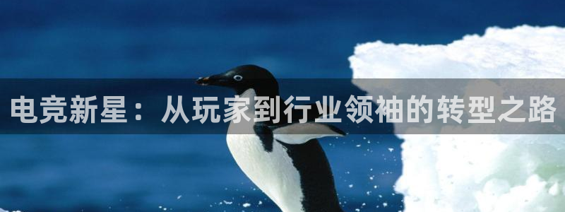 易游电竞官网