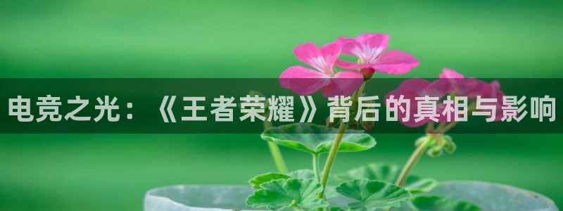 易游电竞：电竞之光：《王者荣耀》背后的真相与影响