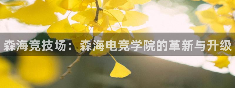 易游电竞官网：森海竞技场：森海电竞学院的革新与升级