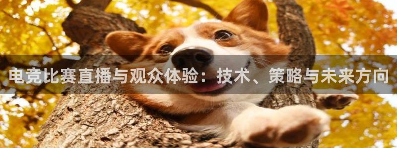易游电竞：电竞比赛直播与观众体验：技术、策略与未来方向