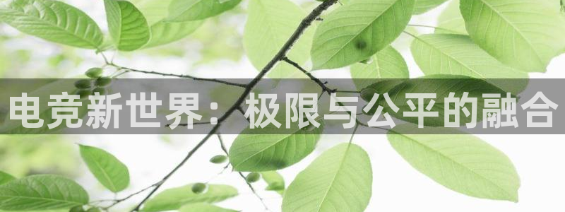 易游电竞：电竞新世界：极限与公平的融合