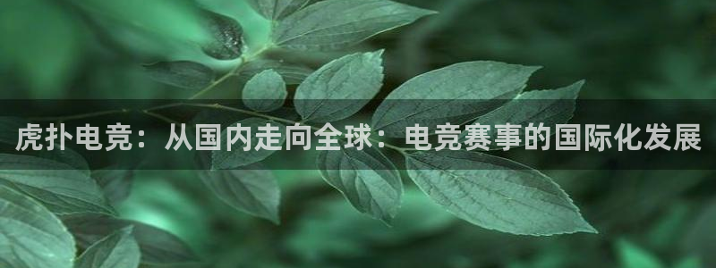 易游电竞官网：虎扑电竞：从国内走向全球：电竞赛事的国际化发展