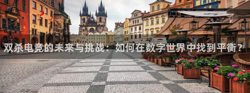易游电竞官网：双杀电竞的未来与挑战：如何在数字世界中找到平衡？