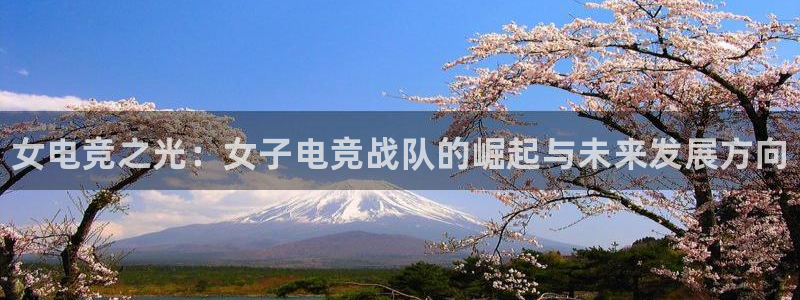 易游电竞：女电竞之光：女子电竞战队的崛起与未来发展方向
