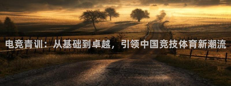 易游电竞官网：电竞青训：从基础到卓越，引领中国竞技体育新潮流