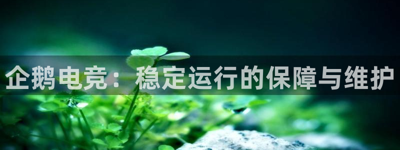 易游电竞官网：企鹅电竞：稳定运行的保障与维护