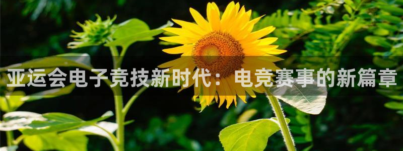 易游电竞官网：亚运会电子竞技新时代：电竞赛事的新篇章