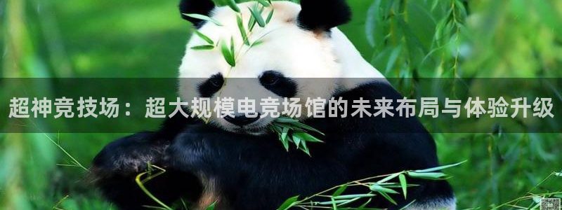 易游电竞官网：超神竞技场：超大规模电竞场馆的未来布局与体验升级
