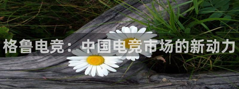 易游电竞：格鲁电竞：中国电竞市场的新动力