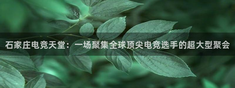 易游电竞官网：石家庄电竞天堂：一场聚集全球顶尖电竞选手的超大型聚会