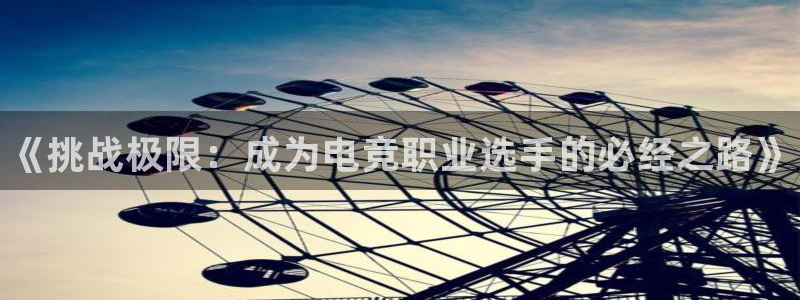 易游电竞官网：《挑战极限：成为电竞职业选手的必经之路》