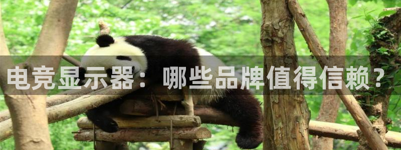 易游电竞官网：电竞显示器：哪些品牌值得信赖？