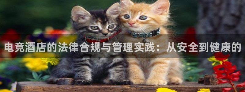 易游电竞：电竞酒店的法律合规与管理实践：从安全到健康的