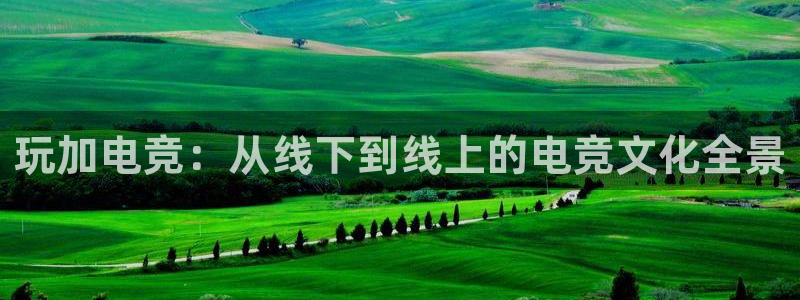 易游电竞：玩加电竞：从线下到线上的电竞文化全景