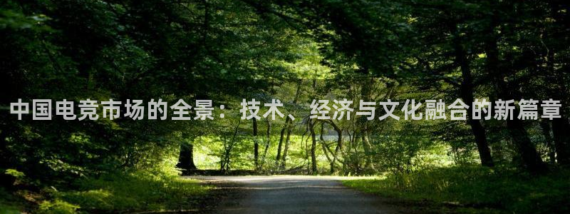 易游电竞：中国电竞市场的全景：技术、经济与文化融合的新篇章