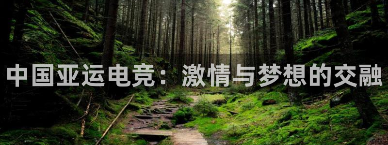 易游电竞：中国亚运电竞：激情与梦想的交融