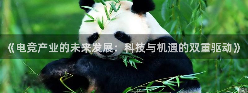 易游电竞官网