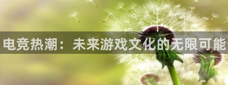 易游电竞官网：电竞热潮：未来游戏文化的无限可能