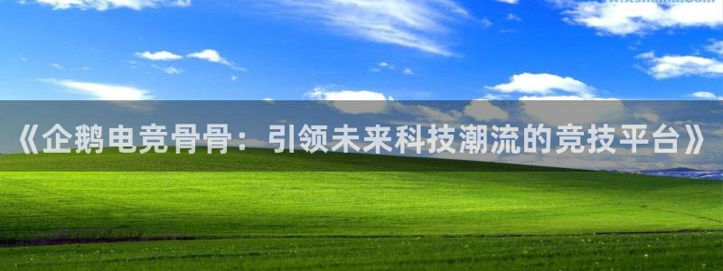 易游电竞：《企鹅电竞骨骨：引领未来科技潮流的竞技平台》