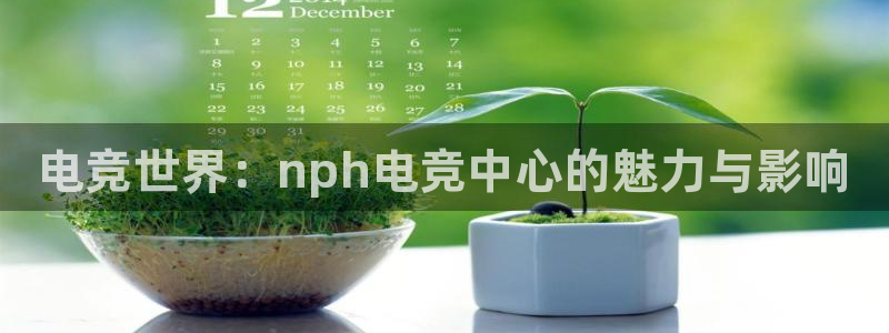 易游电竞：电竞世界：nph电竞中心的魅力与影响