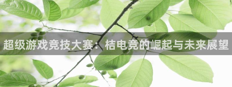 易游电竞：超级游戏竞技大赛：桔电竞的崛起与未来展望