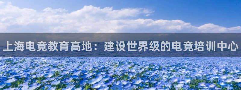 易游电竞官网：上海电竞教育高地：建设世界级的电竞培训中心