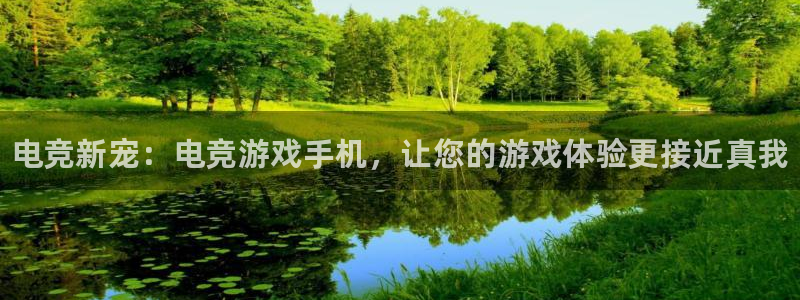 易游电竞官网：电竞新宠：电竞游戏手机，让您的游戏体验更接近真我