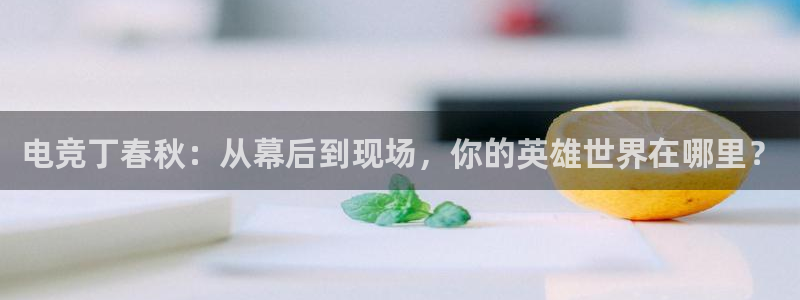 易游电竞官网：电竞丁春秋：从幕后到现场，你的英雄世界在哪里？
