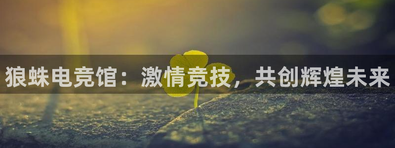 易游电竞：狼蛛电竞馆：激情竞技，共创辉煌未来
