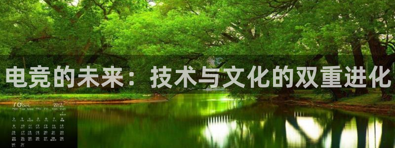 易游电竞：电竞的未来：技术与文化的双重进化