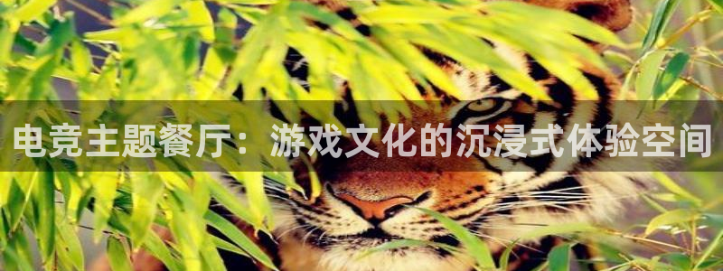 易游电竞：电竞主题餐厅：游戏文化的沉浸式体验空间