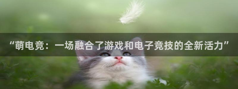 易游电竞官网：“萌电竞：一场融合了游戏和电子竞技的全新活力”