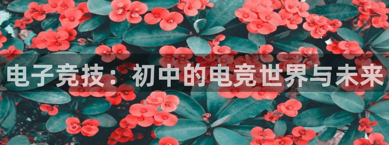 易游电竞：电子竞技：初中的电竞世界与未来