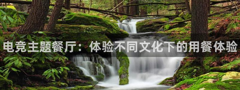 易游电竞：电竞主题餐厅：体验不同文化下的用餐体验