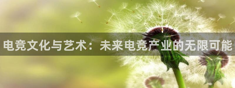 易游电竞官网：电竞文化与艺术：未来电竞产业的无限可能