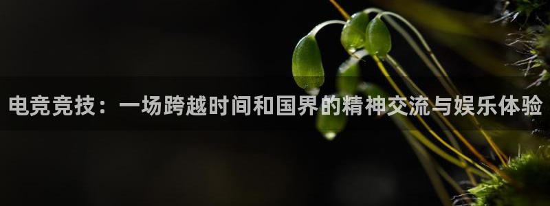 易游电竞官网：电竞竞技：一场跨越时间和国界的精神交流与娱乐体验