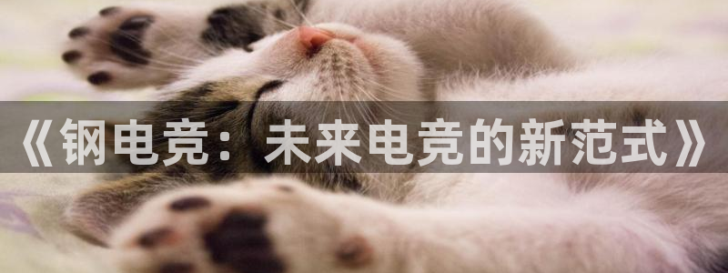 易游电竞官网：《钢电竞：未来电竞的新范式》