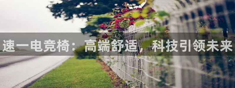 易游电竞官网：速一电竞椅：高端舒适，科技引领未来