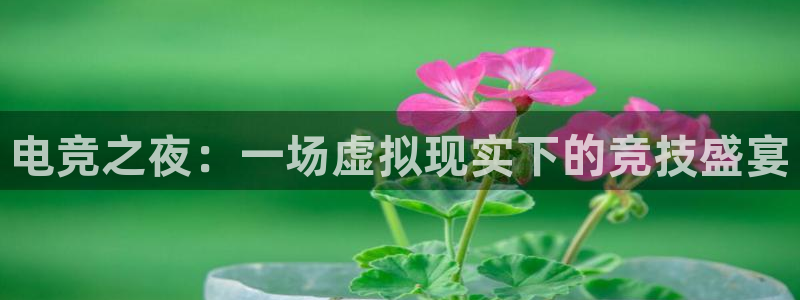 易游电竞官网：电竞之夜：一场虚拟现实下的竞技盛宴