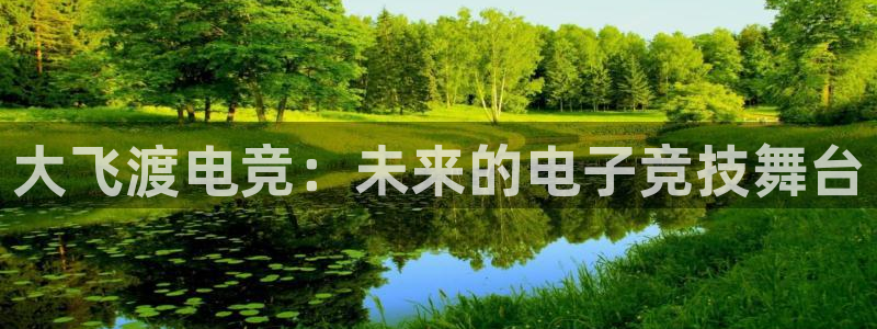 易游电竞：大飞渡电竞：未来的电子竞技舞台