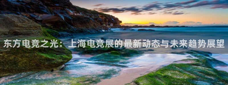 易游电竞：东方电竞之光：上海电竞展的最新动态与未来趋势展望